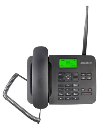Attēls no Aligator T100 541 g Black Senior phone