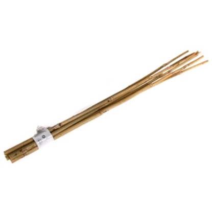 Picture of Bambusa mietiņi 60cm 6gab.