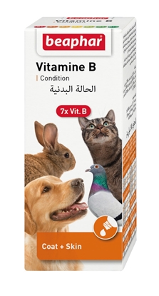 Picture of Beaphar vitamin b kit for dogs - 50 ml