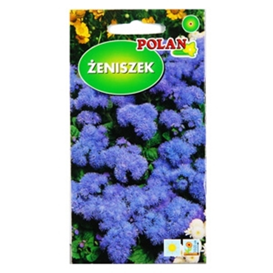 Picture of Sēklas Agerāts zils 0.3g