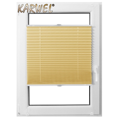 Picture of Žalūzija MINI PLISA 69X220 PS02