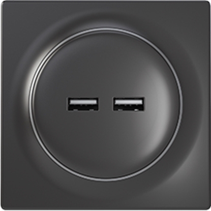 Изображение Fibaro FGWU-021-8 socket-outlet 2x USB Black