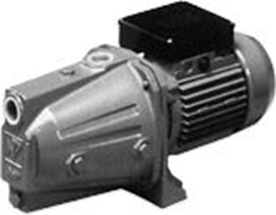 Picture of Ūdens sūknis Jet 1000M 0,8kW 230V Pentair