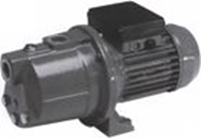 Attēls no Ūdens sūknis Newjet 45-43M 0,37kW 230V Pentair