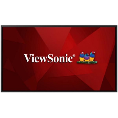 Picture of Monitor ViewSonic CDE5520