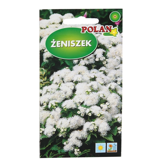 Picture of Sēklas Agerāts balts 0.3g