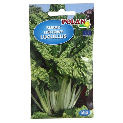 Picture of Sēklas Bietes lapu Lucullus 8g