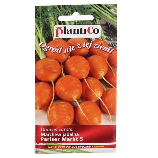 Picture of Sēklas Burkāni Pariser Market 5, 2g