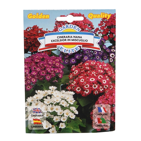 Picture of Sēklas Cinerārija mix 0.12g