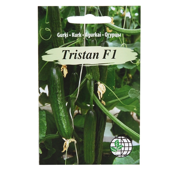 Picture of Sēklas Gurķi silt. Tristan F1 AMC 3-sēklas