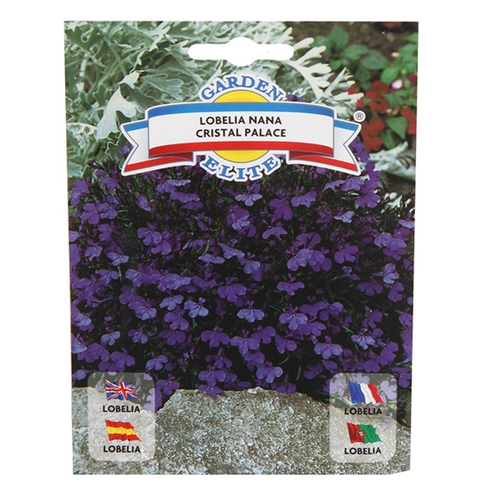 Picture of Sēklas Lobēlijas Cristal Palace 0.2g GS