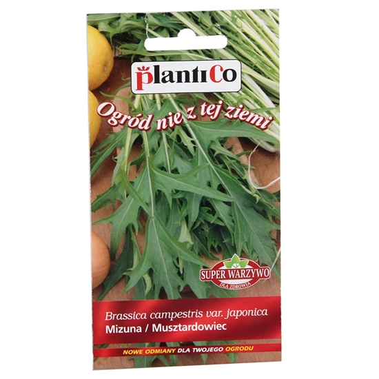 Picture of Sēklas Mizuna 0.5g