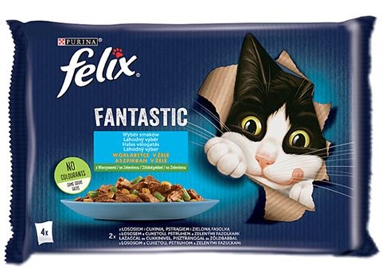 Изображение Felix Fantastic country flavors in jelly, salmon, trout with vegetables -(4x 85 g)