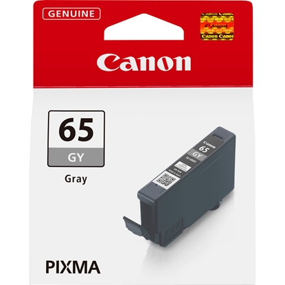 Изображение Canon CLI-65 GY grey