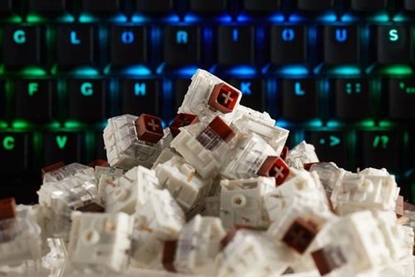 Attēls no Glorious PC Gaming Race Glorious Kailh Box Brown Switches (120 Stück)