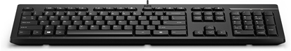 Attēls no HP 125 USB Wired Keyboard, Sanitizable - Black – RUS