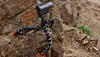 Picture of Joby GorillaPod Action Tripod incl. GoPro Adapter