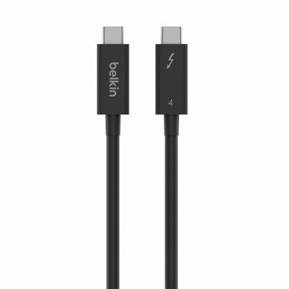 Picture of Belkin Thunderbolt 4-Cable USB-C 40Gb/s 100W 0,8m    INZ002bt2MBK