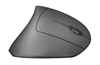 Picture of Trust Verto mouse Right-hand RF Wireless Optical 1600 DPI