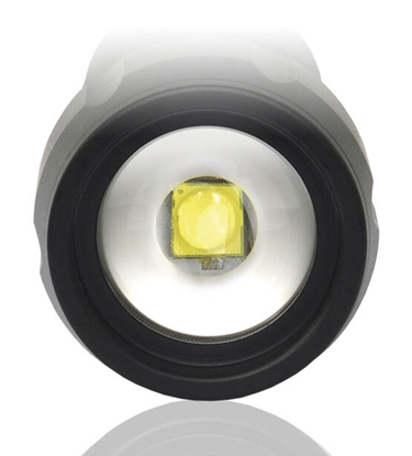 Picture of LED flashlight everActive FL-300+
