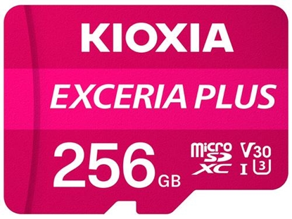 Attēls no Karta Kioxia Exceria Plus MicroSDXC 256 GB Class 10 UHS-I/U3 A1 V30 (LMPL1M256GG2)