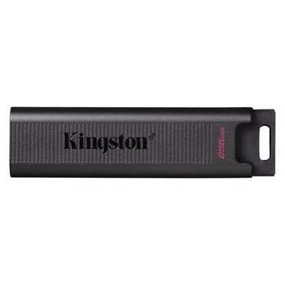 Picture of Kingston DataTraveler Max 256GB Black