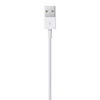 Изображение Kabelis Apple USB Male - Apple Lightning Male White 2m