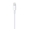Picture of Kabelis Apple USB Male - Apple Lightning Male White 2m
