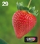 Изображение Epson Strawberry Multipack 4-colours 29 EasyMail