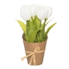 Изображение Mākslīgie ziedi 4Living Tulpes 23cm 3-krāsas