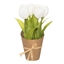 Attēls no Mākslīgie ziedi 4Living Tulpes 23cm 3-krāsas