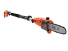 Picture of Black & Decker PS7525 High Pruner