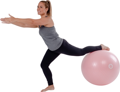 Picture of Pure2Improve | Yoga Ball | Pink