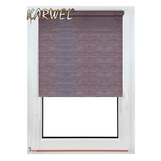 Picture of Žalūzija rullo MINI 67X215 E204