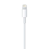 Изображение Apple Lightning auf USB Kabel 0,5m (retail)