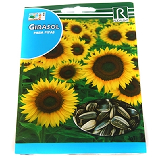 Picture of Sēklas saulespuķes Twilight