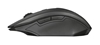 Изображение Trust GXT 115 Macci mouse Ambidextrous RF Wireless Optical 2400 DPI