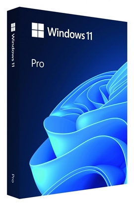Attēls no Microsoft Windows 11 Pro ENG Intl USB FPP