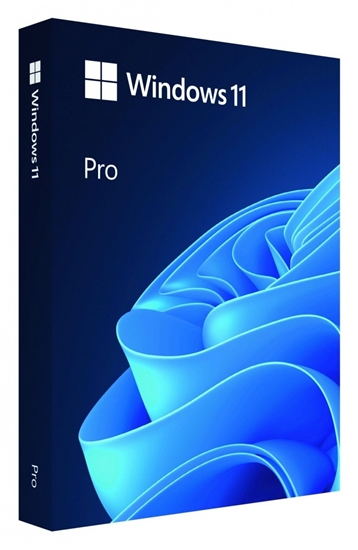 Picture of Microsoft Windows 11 Pro ENG Intl USB FPP