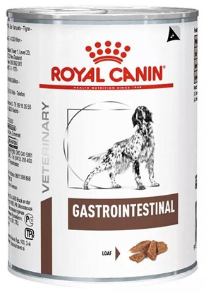 Attēls no ROYAL CANIN Gastrointestinal Wet dog food Pâté 400 g