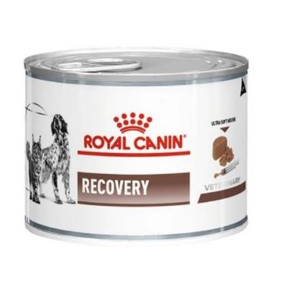 Attēls no ROYAL CANIN Recovery Wet dog and cat food Mousse Poultry, Pork 195 g