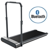 Picture of Kingsmith Walking Pad TRR1F electric treadmill