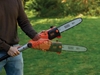 Picture of Black & Decker PS7525 High Pruner