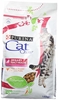 Picture of Purina Cat Chow Urinary Tract Health cats dry food 1.5 kg Adult Chicken