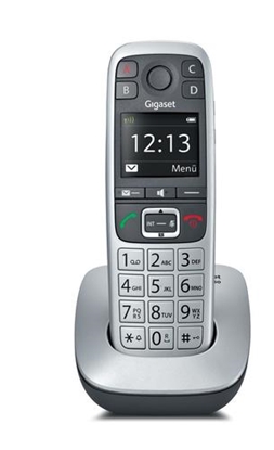 Picture of Gigaset E560 platin