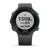 Изображение Garmin Swim 2 GPS-swimm watch slate grey/silver