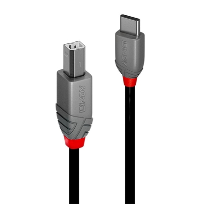 Изображение Lindy 3m USB 2.0 Typ C an B Kabel, Anthra Line