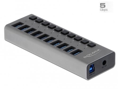 Picture of Delock External SuperSpeed USB Hub with 10 Ports + Switch