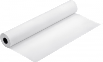 Attēls no Epson Proofing Paper White Semimatte, 17" x 30,5 m, 250g/m²