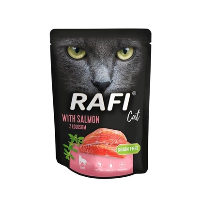 Attēls no DOLINA NOTECI RAFI CAT with salmon - Wet cat food - 300 g